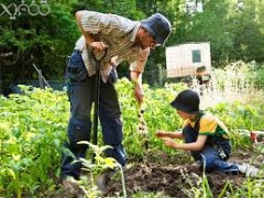 خریدپستی آموزش اسرار باغبانی ، آموزش اصول باغبانی و گل کاری، طراحی فضای سبز