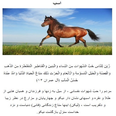 حیوانات در قرآن و احادیث (دانلودی PDF)
